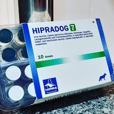 تفاوت واکسن های چند گانه ( پلی والان ) سگ ها چیست؟