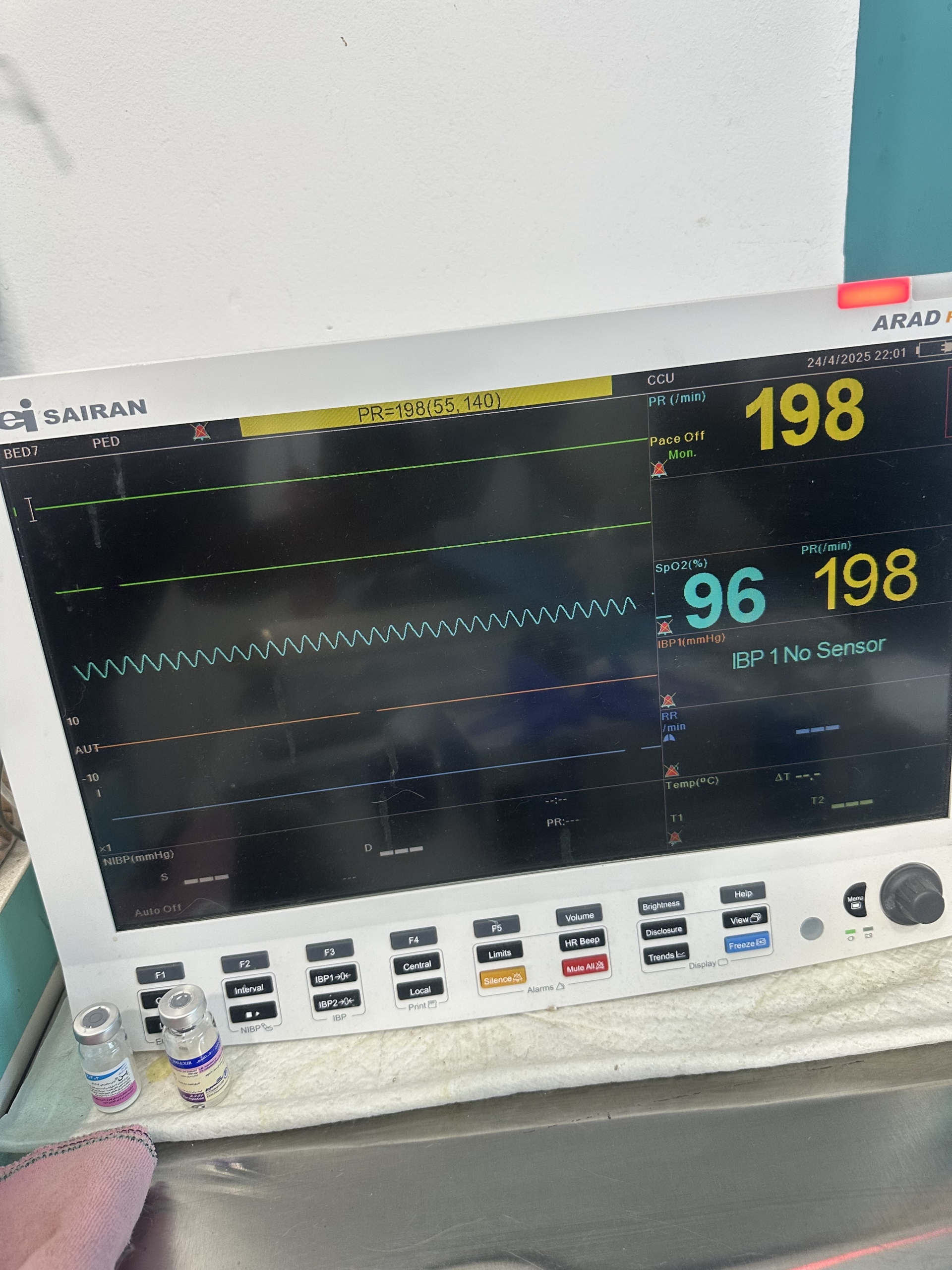 نوار قلب دامپزشکی / ECG سگ / نوار قلب سگ اصفهان / نوار قلب گربه اصفهان